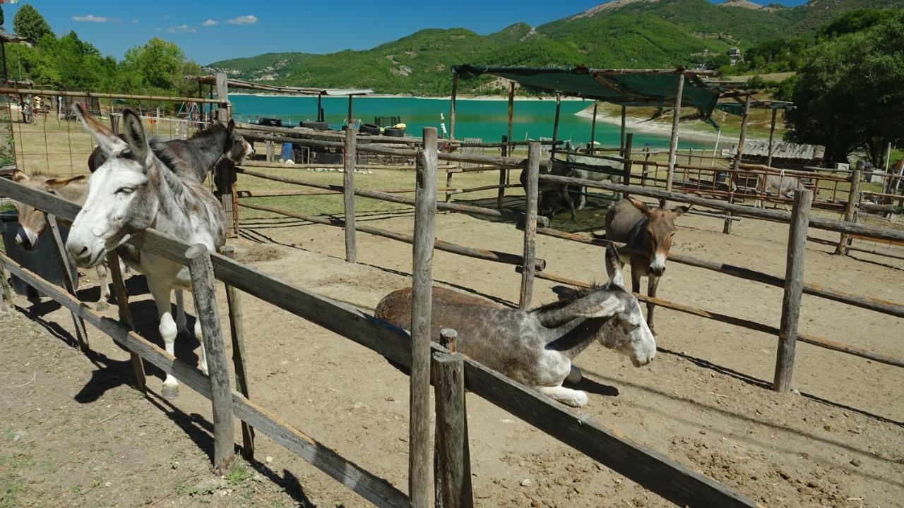 La Terrazza Sul Lago Turano Castel di Tora Εξωτερικό φωτογραφία