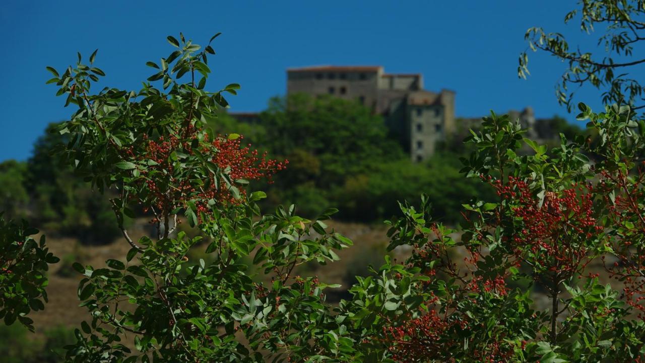 La Terrazza Sul Lago Turano Castel di Tora Εξωτερικό φωτογραφία